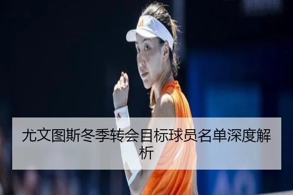 尤文图斯冬季转会目标球员名单深度解析 - Xingcai